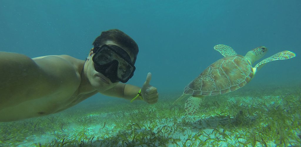 George Lambert snorkeling with a turtle