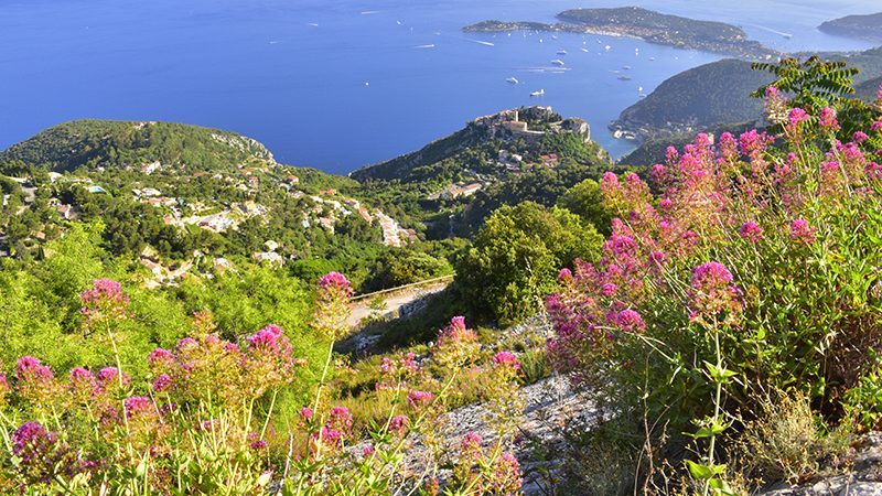 Scenic view from a hillside overlooking a village and superyacht marina in the South of France