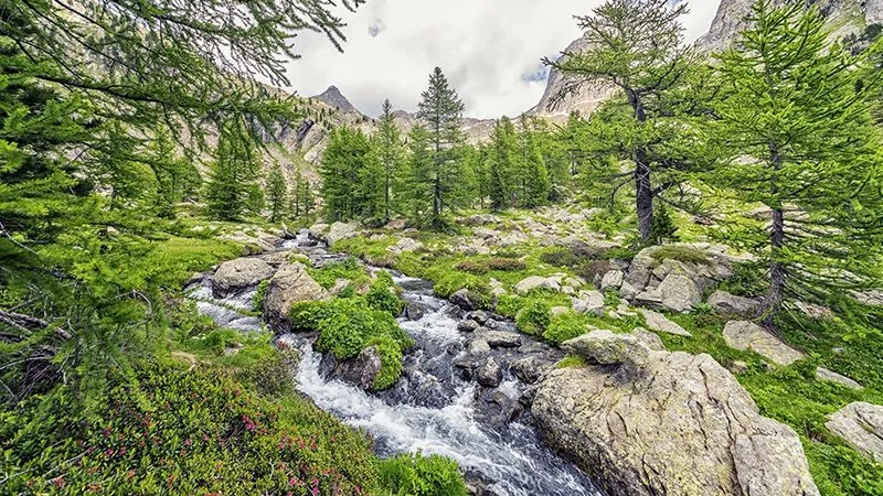 Waterfall and stream in the Mercantour National Park in the South of France