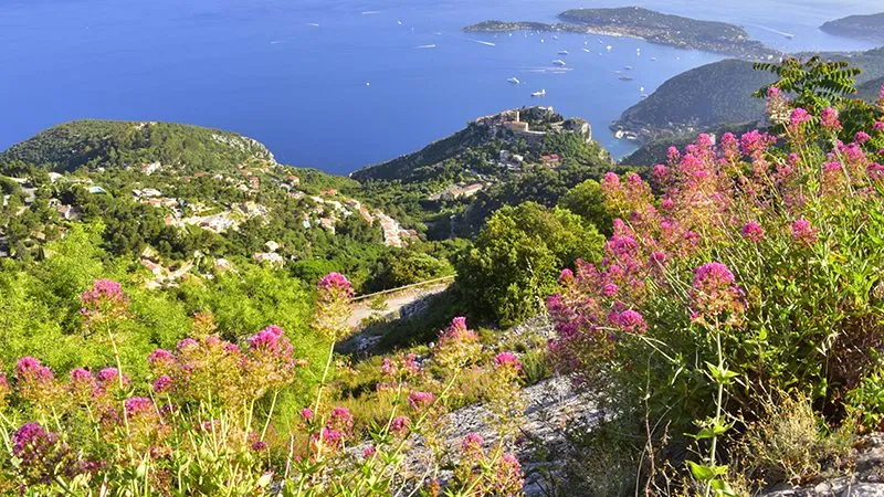 Scenic view from a hillside overlooking a village and superyacht marina in the South of France