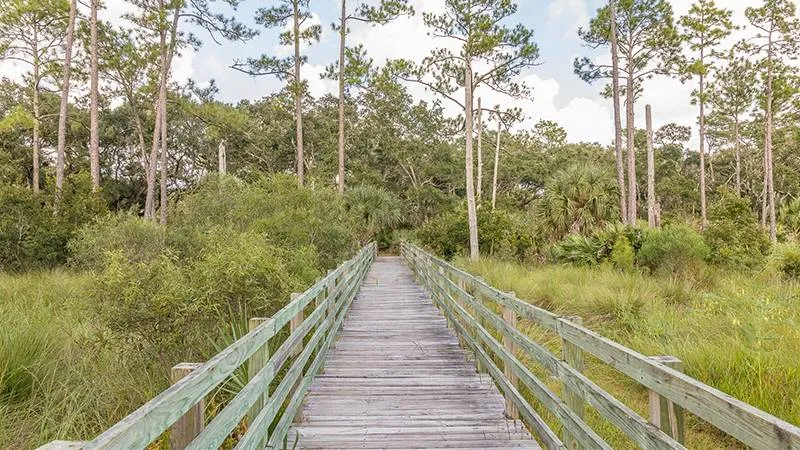 Apoxee Wilderness Trail