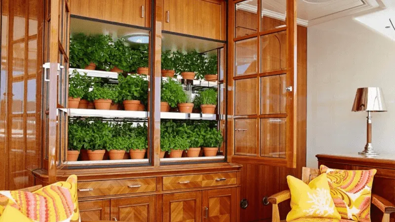 Motoryacht Sea Owl Sundeck herb and self-grown green box