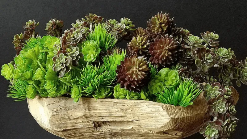 Cacti and succulents in a yacht flower arrangement