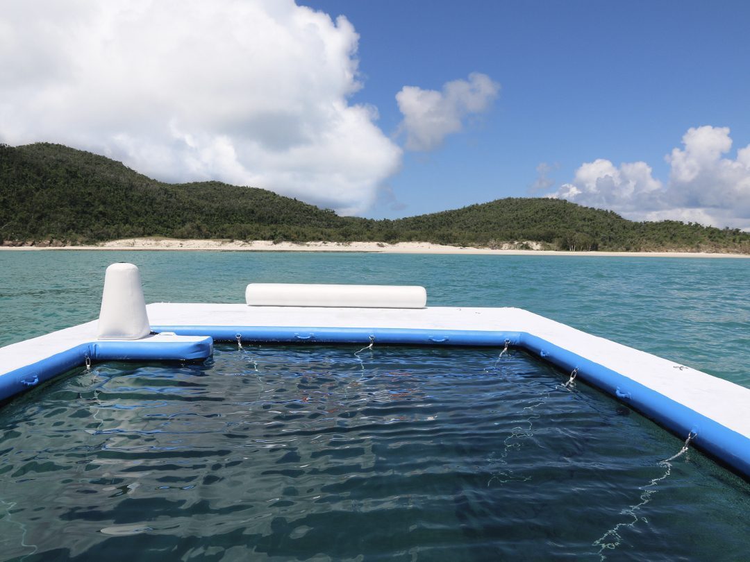 The Sea Pool belonging to Motor Yacht Murcielago